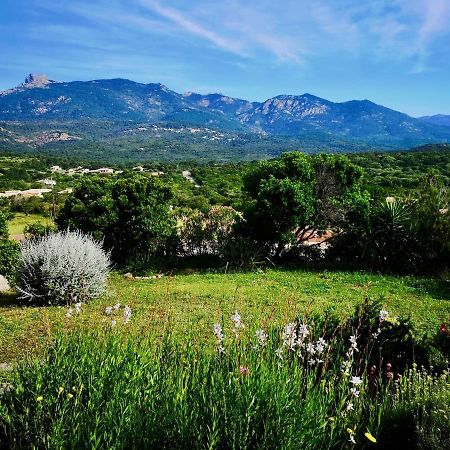 Appartements Avec Jardin Entre Porto-Vecchio Et Figari - Casa Mattiste Sotta Dış mekan fotoğraf