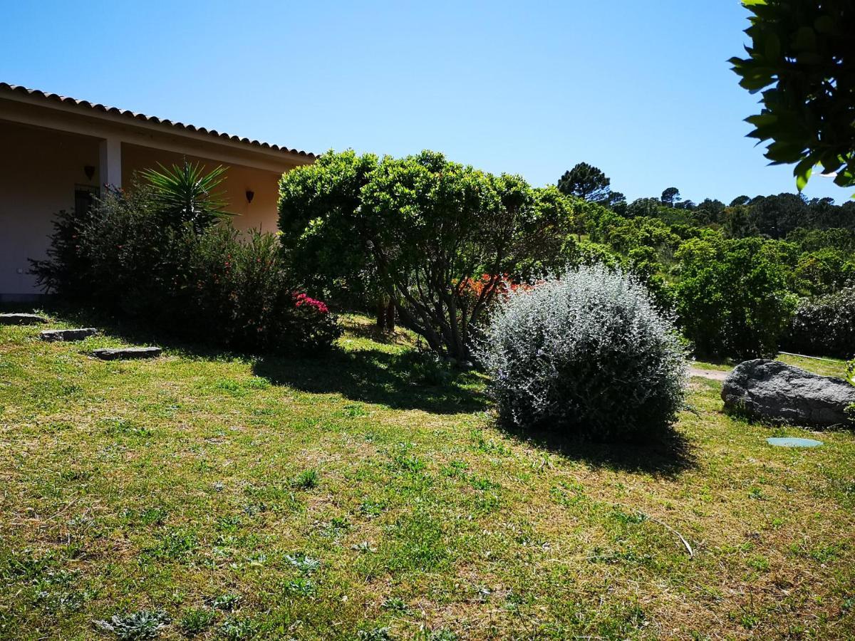 Appartements Avec Jardin Entre Porto-Vecchio Et Figari - Casa Mattiste Sotta Dış mekan fotoğraf