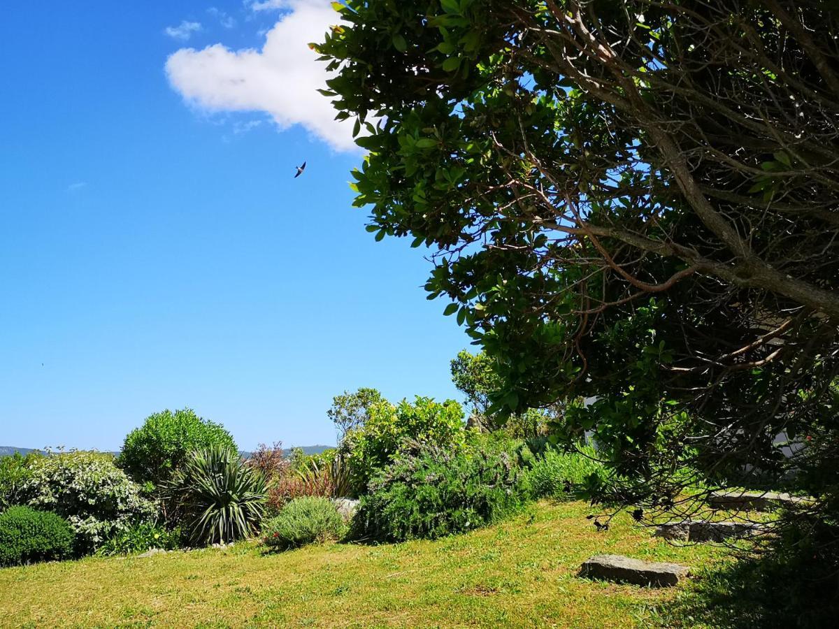Appartements Avec Jardin Entre Porto-Vecchio Et Figari - Casa Mattiste Sotta Dış mekan fotoğraf